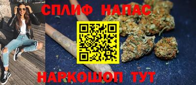 гашик Будённовск
