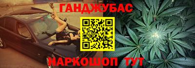 гашик Будённовск