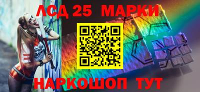 гашик Будённовск