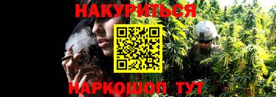 гашик Будённовск