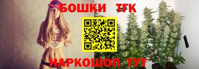 гашик Будённовск