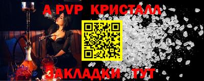 гашик Будённовск